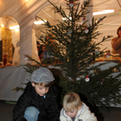 IMG_0101_1.jpg
