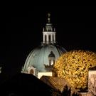 vienna_1.jpg