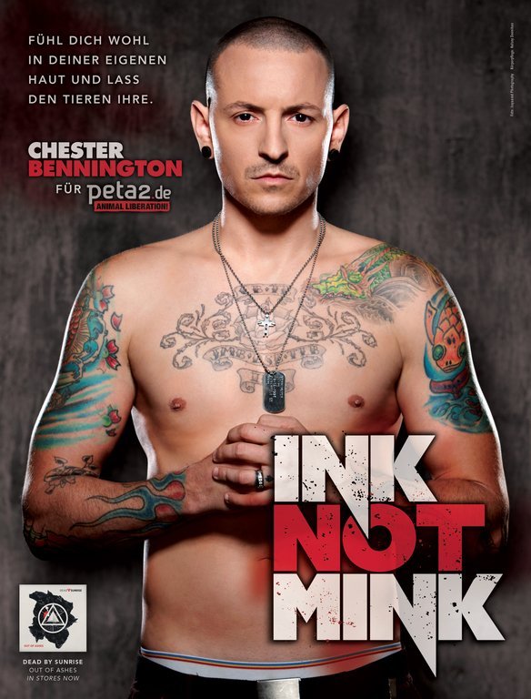 Chester_LP_P2_300.jpg