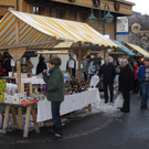 017_bearbeitet-1_jpg-1296849328