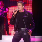 David Hasselhoff Stadthalle Wien 2011 - florian wieser_0023.jpg