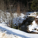 normal_05022011spaziergangebenaufdaktivnews_03.jpg