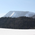 normal_05022011spaziergangebenaufdaktivnews_04.jpg