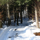 normal_05022011spaziergangebenaufdaktivnews_05.jpg