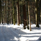 normal_05022011spaziergangebenaufdaktivnews_06.jpg