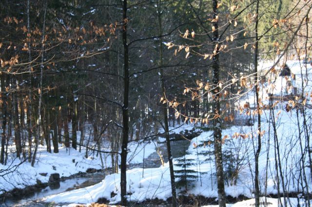 normal_05022011spaziergangebenaufdaktivnews_07.jpg