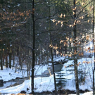 normal_05022011spaziergangebenaufdaktivnews_07.jpg