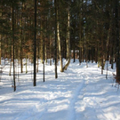 normal_05022011spaziergangebenaufdaktivnews_08.jpg