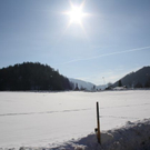 normal_05022011spaziergangebenaufdaktivnews_09.jpg