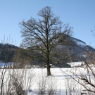 normal_05022011spaziergangebenaufdaktivnews_12.jpg