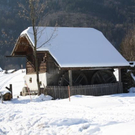 normal_05022011spaziergangebenaufdaktivnews_14.jpg