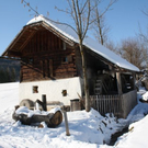 normal_05022011spaziergangebenaufdaktivnews_17.jpg