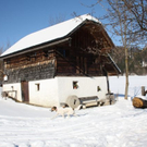 normal_05022011spaziergangebenaufdaktivnews_19.jpg