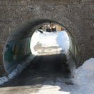 normal_05022011spaziergangebenaufdaktivnews_26.jpg