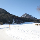 normal_05022011spaziergangebenaufdaktivnews_35.jpg