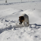 normal_05022011spaziergangebenaufdaktivnews_41.jpg