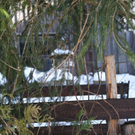 normal_05022011spaziergangebenaufdaktivnews_42.jpg