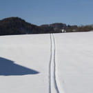 normal_05022011spaziergangebenaufdaktivnews_47.jpg