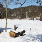 normal_05022011spaziergangebenaufdaktivnews_51.jpg