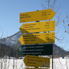 normal_05022011spaziergangebenaufdaktivnews_66.jpg