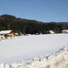 normal_05022011spaziergangebenaufdaktivnews_69.jpg