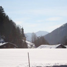 normal_05022011spaziergangebenaufdaktivnews_73.jpg