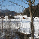 normal_05022011spaziergangebenaufdaktivnews_67.jpg