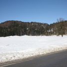 normal_05022011spaziergangebenaufdaktivnews_64.jpg