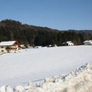 normal_05022011spaziergangebenaufdaktivnews_69.jpg