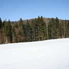 normal_05022011spaziergangebenaufdaktivnews_82.jpg