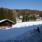 normal_05022011spaziergangebenaufdaktivnews_88.jpg