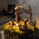 DSCN1580_JPG-1296986323