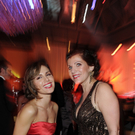 DDI0382-20110206.jpg