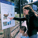 wildpark06_jpg-1297010140