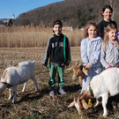 Spaziergang mit Ziegen