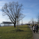 IMG_5955_JPG-1297030212