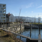 IMG_5961_JPG-1297030266