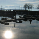 IMG_5962_JPG-1297030013