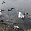 DSC05664.JPG