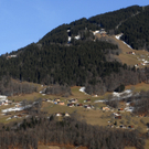 234_bearbeitet-1_jpg-1297075328