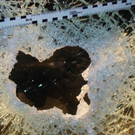 Bilder zur Einbruchsserie