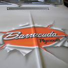 2011 02 05_1601.JPG