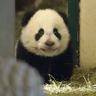 Fu Hu 6.JPG