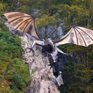 02drache.jpg