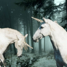 03einhorn.jpg