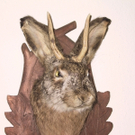 06wolpertinger.jpg