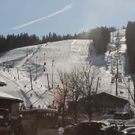normal_08022011skiffaktivnews_01.jpg