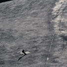 normal_08022011skiffaktivnews_10.jpg
