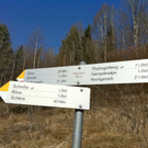 KOE_Wandertipp Gampelinalpe 5_jpg-1297187904