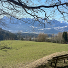 KOE_Wandertipp Gampelinalpe 7_jpg-1297187923